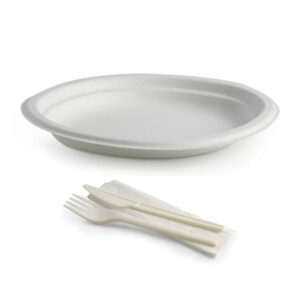 CUTLERY & PLATE SET